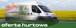 oferta hurtowa